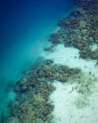 Naklejka na ściany i meble Koh Ngai Coral Reef Barrier