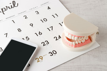 カレンダーとスマホと歯型模型