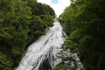 Fototapeta na wymiar yudaki waterfall of nikko in japan