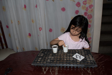 Girl putting a seed in a hotbed