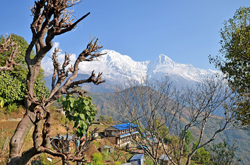 View at Ghandruk village, its buildings and grey roofs with Annapurna massif at the background with Fishtail mountain. The Himalayas mountains, Nepal.