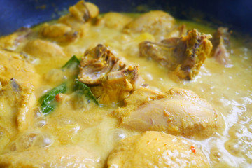 Malaysian Malays traditional cook called Ayam Masak Lemak Chili Padi. It is chicken cooked with a mixture of water, coconut milk, chili turmeric, and water.