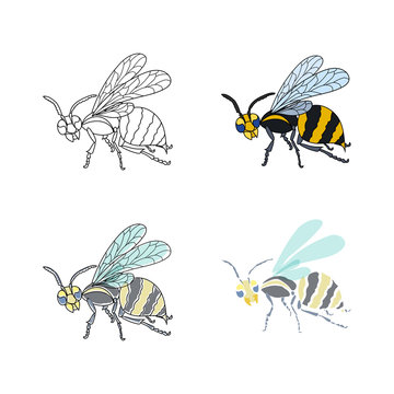 Set of wasps. Lineart, colored, painted. Vector nature illustration.