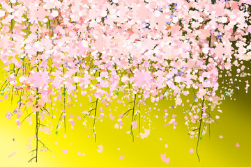 桜金屏風　cherry blossom flour art