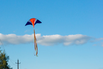 Kite and blue sky