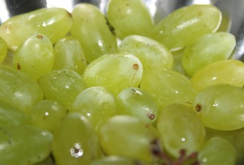 Vitis, many grapes on the plate.