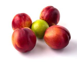 nectarines, laim on a white background in isolation