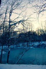 An icy Indiana winter