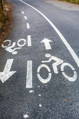 Bicycle Sign on the Road. Asphalt Road for Biking