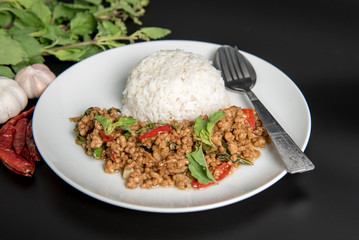 Rice  with stir-fried minced pork and basil.