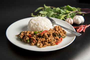 Rice  with stir-fried minced pork and basil.