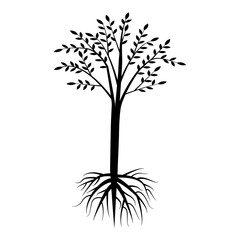 Obraz premium black tree on with root and crown on a white background