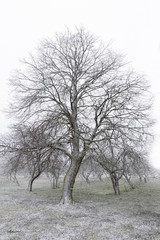 Beautiful sunny winter day in the woods