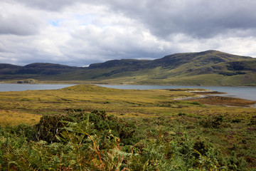 (Scotland, UK - August 11, 2018: Typical landscape of Scotland, Scotland, Highlands, United Kingdom