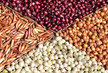 Small onions of four varieties of different shapes and colors.
