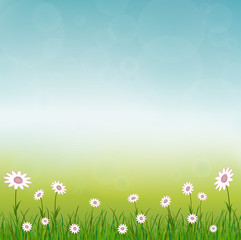 Fototapeta na wymiar floral grass summer background