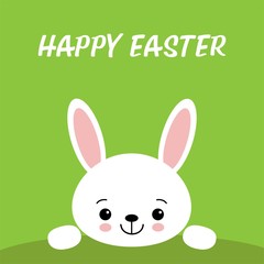 Vector Easter bunny looking out a green background
