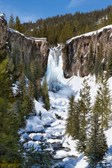 Icey Tumalo Falls, with snow covered ground, pine trees with blue sky