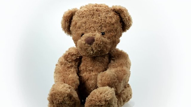 Cute brown teddy bear rotating on white background.