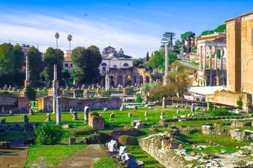 Fototapeta premium Rome. The Roman forum (Latin. Forum Romanum) - forum in the center of Ancient Rome. Sunny day.