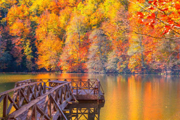 Autumn landscape in (seven lakes) Yedigoller Park Bolu with wooden pier - Bolu, Turkey