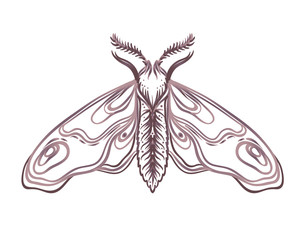 Obraz premium Black and white decorative vector illustration of moth isolated on white. Tattoo design. Coloring book for adults. Nature, spirituality, occultism, alchemy, magic concept.