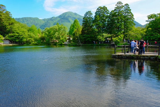 湯布院 金鱗湖