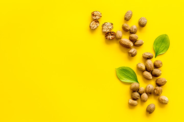 Nutmeg - whole nuts near leves - on yellow background top-down copy space