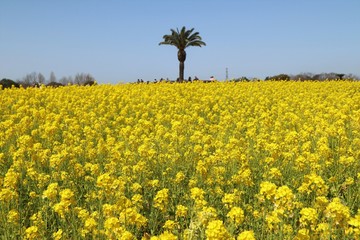 和泉リサイクル環境公園
