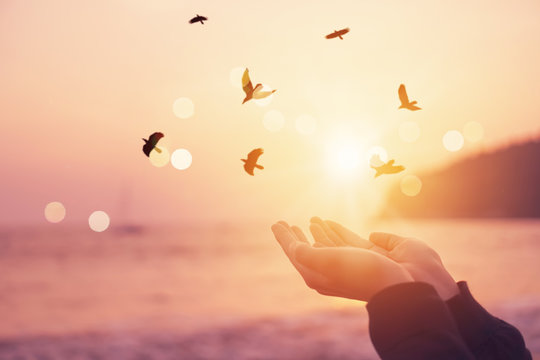 Woman hands place together like praying in front of nature blur beach and birds fly with sunset sky freedom concept.