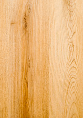 Wood Texture