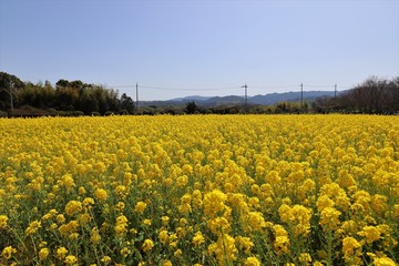 和泉リサイクル環境公園