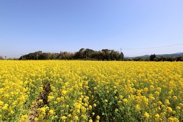 和泉リサイクル環境公園