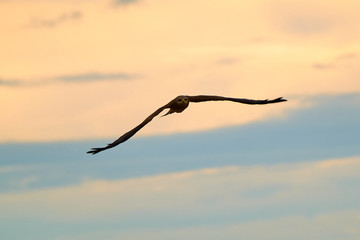 Obraz premium Darwin NT Australia