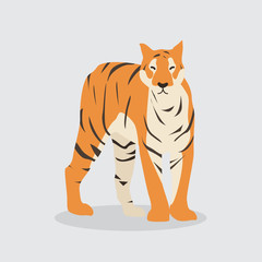 Cartoon tiger. Cute Cartoon tiger, Vector illustration on a white background. Drawing for children.