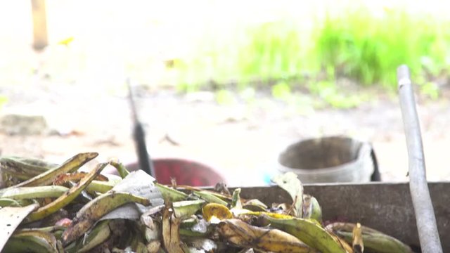 close-up. shovel rowing garbage. organics and plastic. waste treatment. gloved hands. waste fruits and vegetables. cleaning. sorting. waste recycling.
separate plastic from organics. cellophane
