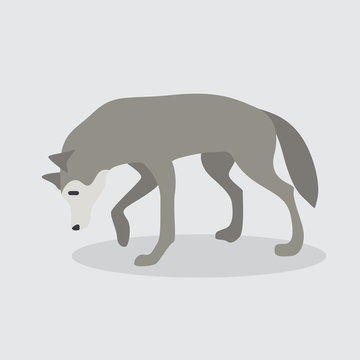 Cartoon wolf. Cute Cartoon wolf, Vector illustration on a white background. Drawing for children.