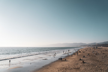 Venice beach