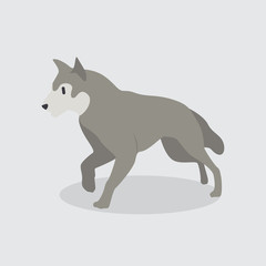 Cartoon wolf. Cute Cartoon wolf, Vector illustration on a white background. Drawing for children.