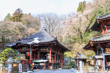 伊香保温泉　水澤観音