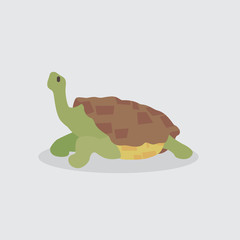 Cartoon turtle. Cute Cartoon turtle, Vector illustration on a white background. Drawing for children.