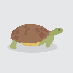 Cartoon turtle. Cute Cartoon turtle, Vector illustration on a white background. Drawing for children.