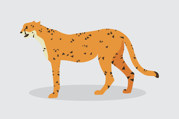 Cartoon cheetah. Cute Cartoon cheetah, Vector illustration on a white background. Drawing for children.