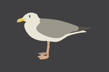 Obraz premium Cartoon seagull. Cute Cartoon seagull, Vector illustration on a grey background. Drawing for children.