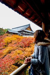 Naklejka premium 美しい赤く染まった綺麗な紅葉を見ている旅行できている若い日本人女性 / Young Japanese woman looking at red leaves in kyoto japan