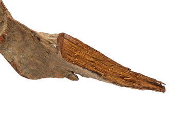 Log of Dalbergia cochinchinensis isolated on the white background