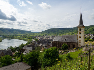 Fototapeta premium Der Calmont Klettersteig an der Mosel