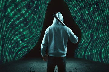 Digitales Tor öffnet sich für Verbrecher