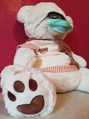 Big teddy bear with glasses and medical mask 