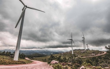 Wind Fields